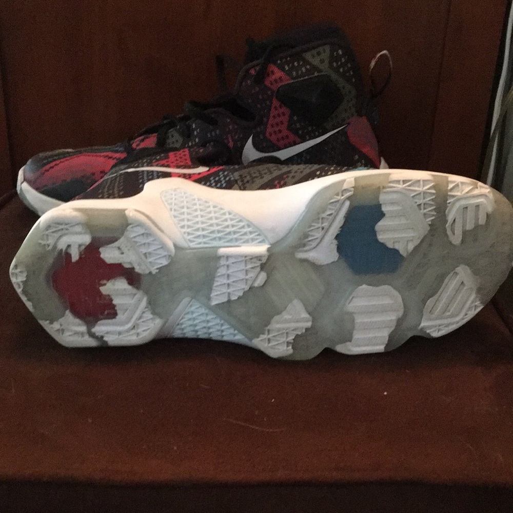 Lebrons - Picture 5 of 5